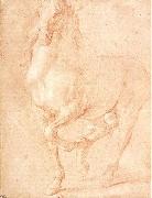 PUGET, Pierre Study of a Horse France oil painting artist